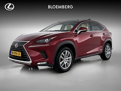Lexus NX - 300h AWD Luxury Line Limited | Schuif - / kanteldak | Fietsendragerbeugel |
