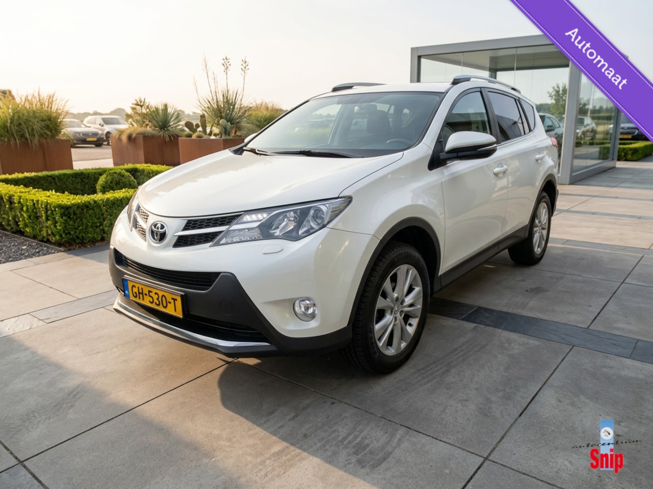 Toyota RAV4 - 2.0 Executive Business 4WD 2.0 Executive Business 4WD - AutoWereld.nl