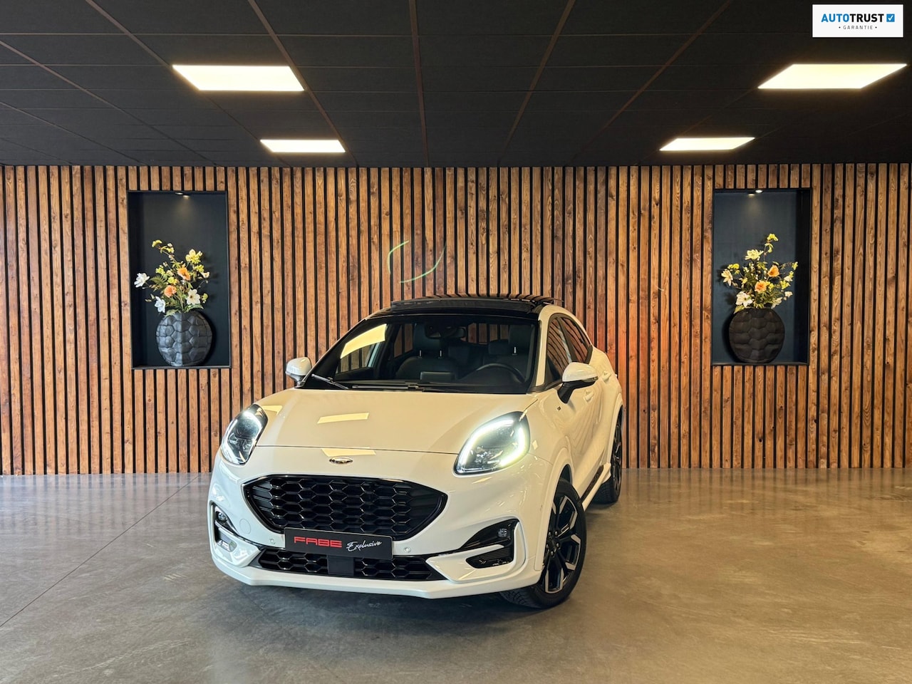 Ford Puma - 1.0 EcoBoost Hybrid ST-Line / Pano / B&O / Keyless / Camera / Trekhaak / Carplay - AutoWereld.nl
