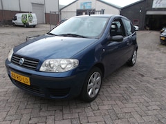 Fiat Punto - 1.2 Young