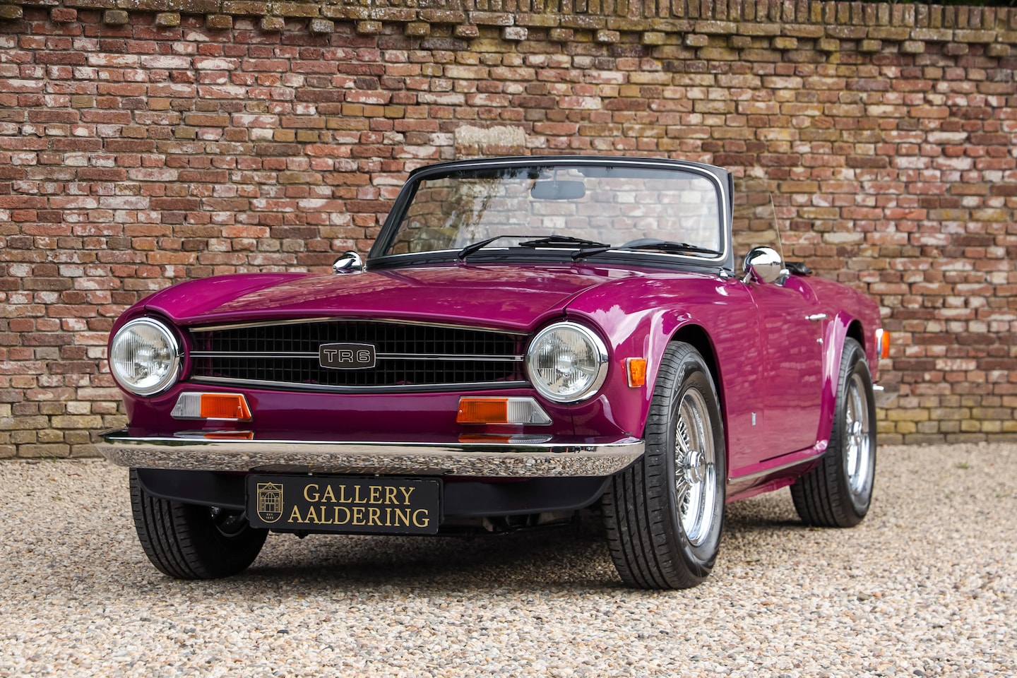 Triumph TR6 - Overdrive "In Magenta" "In Magenta" - AI says": psychedelic purple-pink that stands out fr - AutoWereld.nl