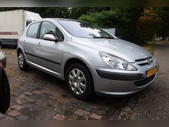 Peugeot 307 - 1.6-16V XS automaat 76 dkm N.A.P. airco 5 drs nw apk 13-8-2027