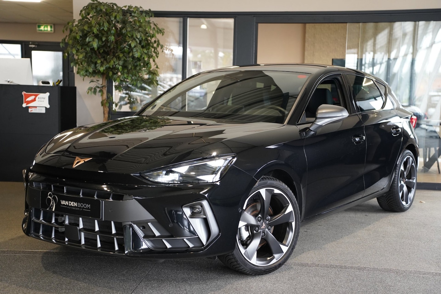 CUPRA Leon - 1.5 eTSI DSG 150PK Facelift Led Navi Cam SuperSportStuur ACC - AutoWereld.nl