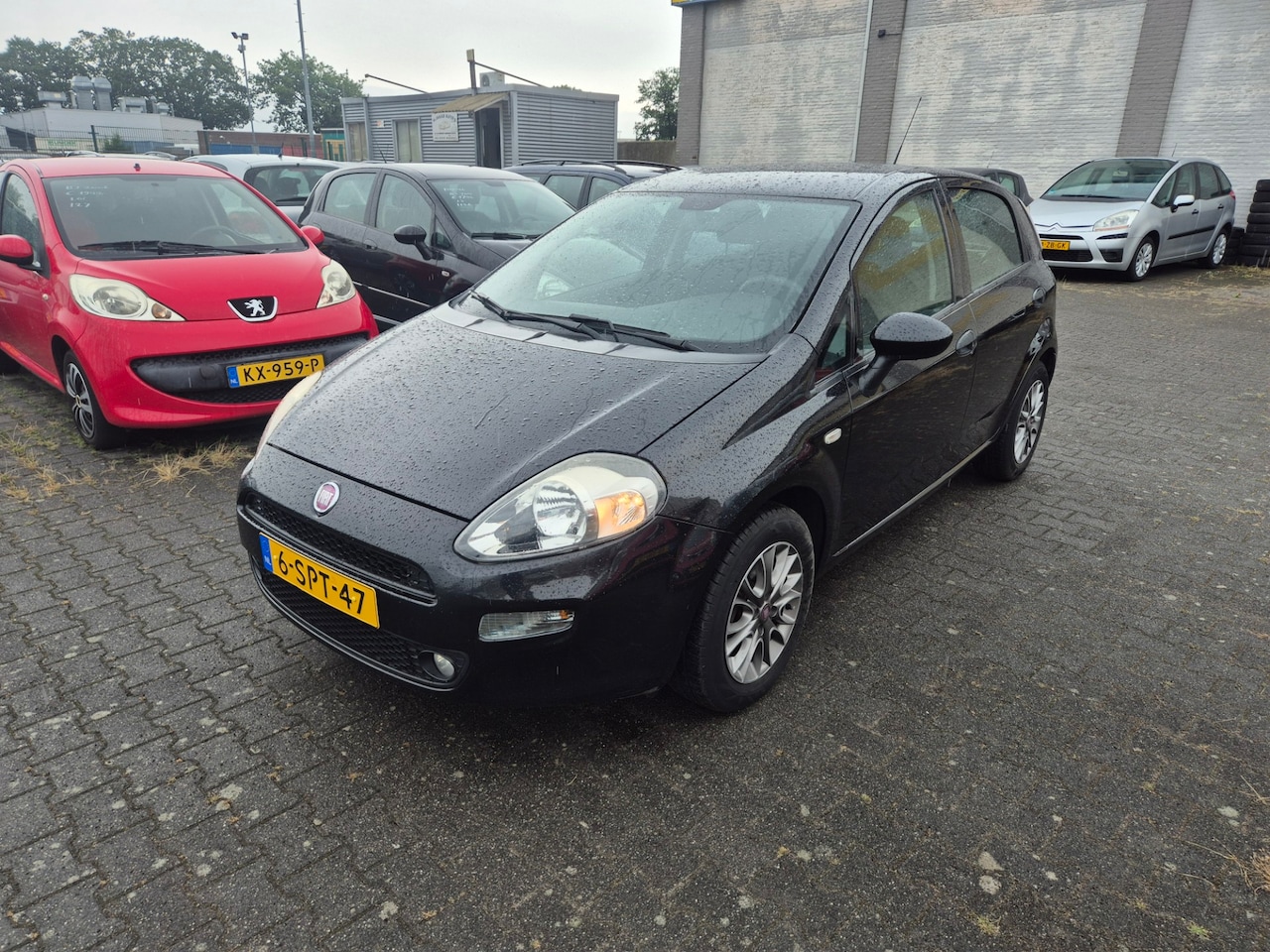Fiat Punto Evo - Fiat Punto Evo 1.2 Pop-5 DRS-AIRCO - AutoWereld.nl