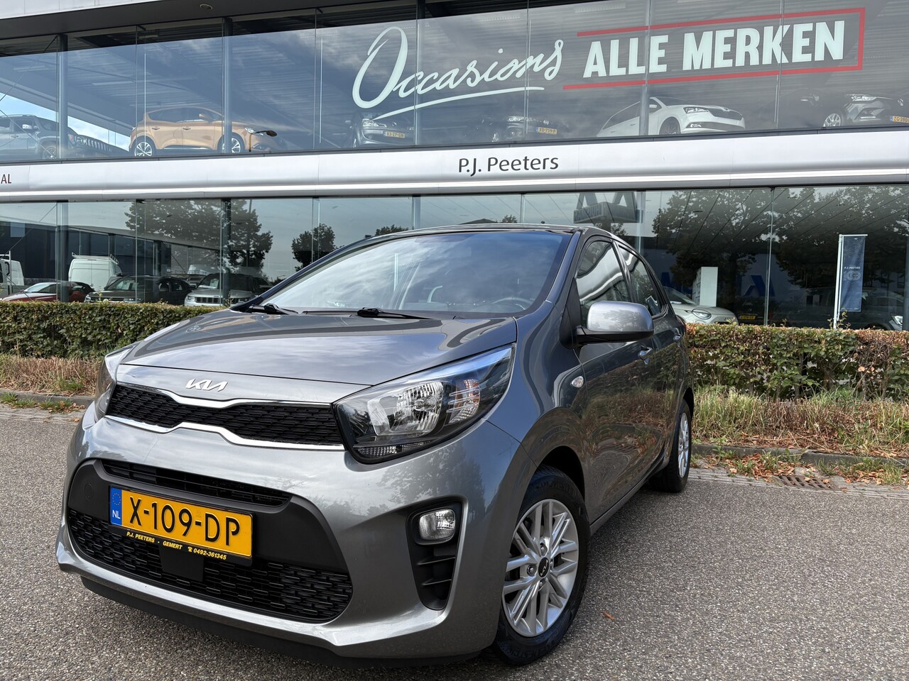 Kia Picanto - 1.0 DPi DynamicLine Achteruitrijcamera - Apple carplay - Airco - Cruise control - Licht me - AutoWereld.nl