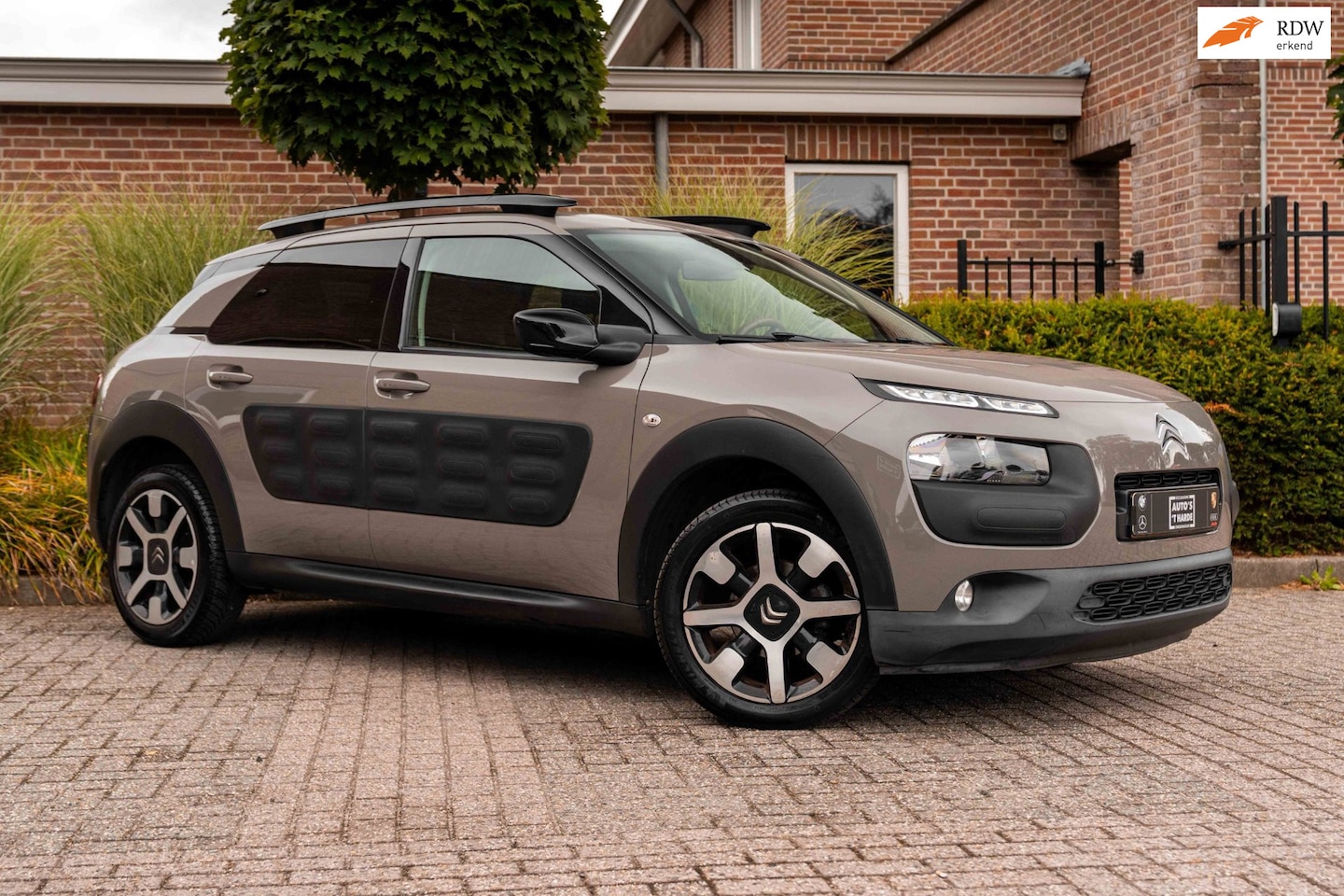 Citroën C4 Cactus - 1.2 PureTech Business Plus 110 PK | Distributieriem v.v. | Camera Trekhaak 17'' - AutoWereld.nl