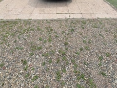 Peugeot 206 - 1.4 Gentry Premium