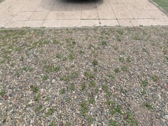 Peugeot 206 - 1.4 Gentry Premium