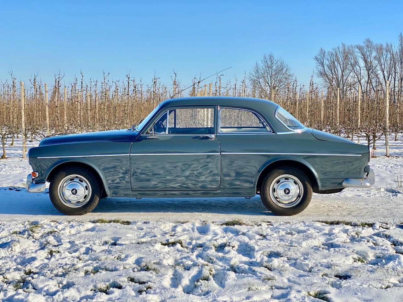Volvo Amazon - 123GT dubbele carb, overdrive, slaapbeslag - AutoWereld.nl