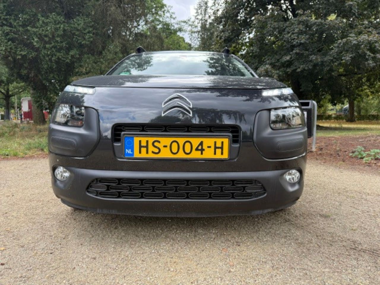 Citroën C4 Cactus - 1.2 PureTech Shine NAP - AutoWereld.nl