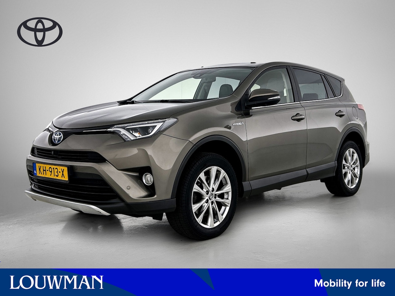 Toyota RAV4 - 2.5 Hybrid AWD Executive Business | Elektrisch schuif-/kanteldak | - AutoWereld.nl