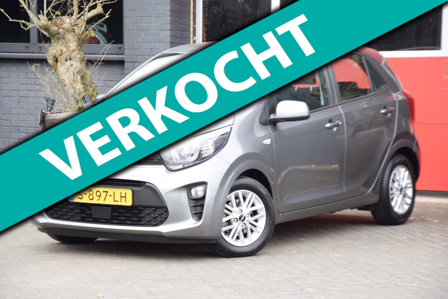 Kia Picanto - 1.0 DPi DynamicLine 2023 carplay navi Camera LM Velgen - AutoWereld.nl