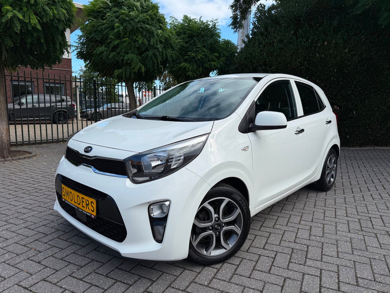 Kia Picanto - 1.0 DPI DynamicPlusLine 1.0 DPi DynamicPlusLine, Apple CarPlay, Navigatie, Clima, Achteruitrijcamera, DAB, LM-velg - AutoWereld.nl