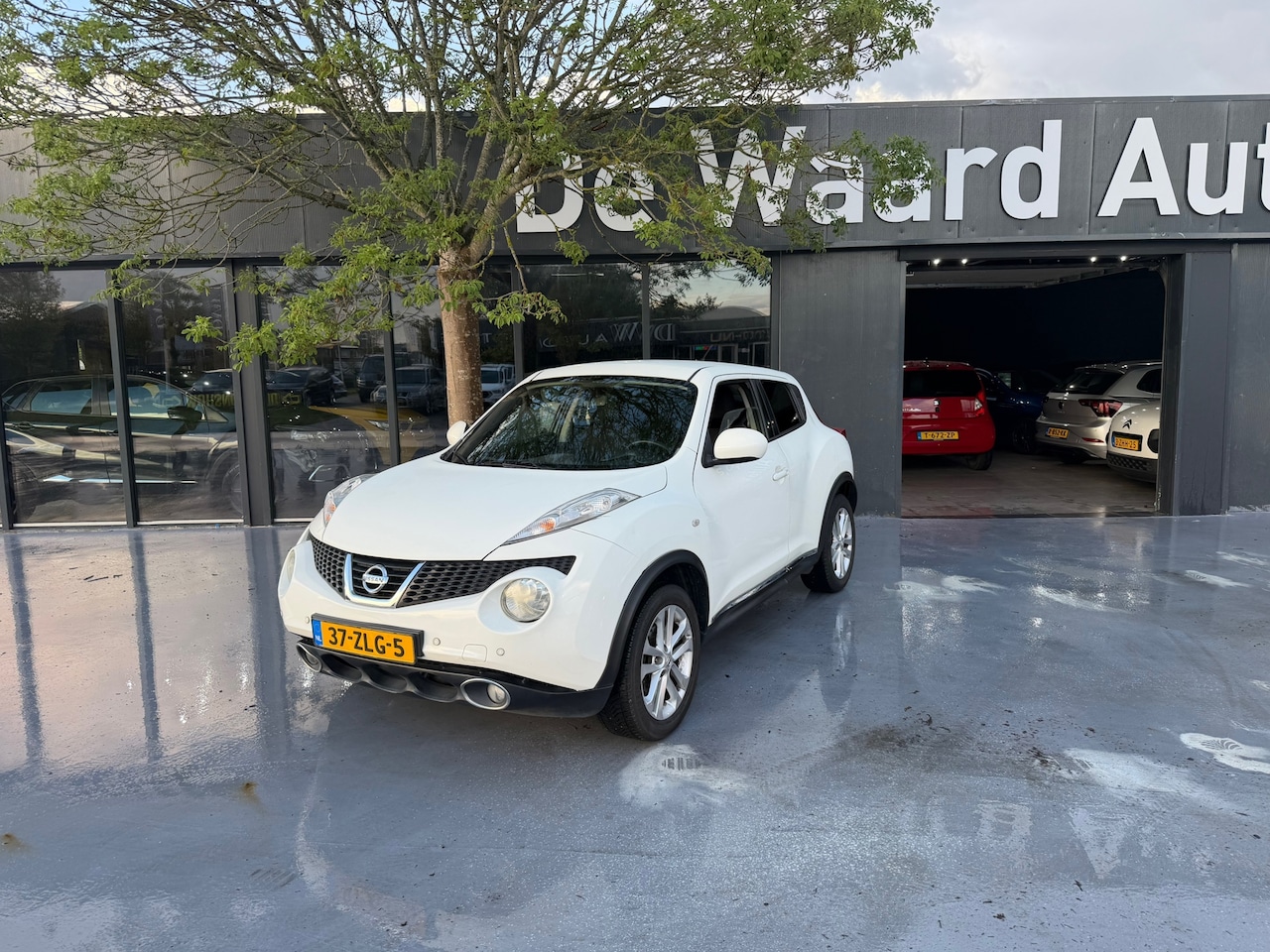 Nissan Juke - 1.6 Acenta/ airco/cruise/NAP/camera/1e eigenaar/dealer onderhouden/PDC voor en achter/ 6 m - AutoWereld.nl