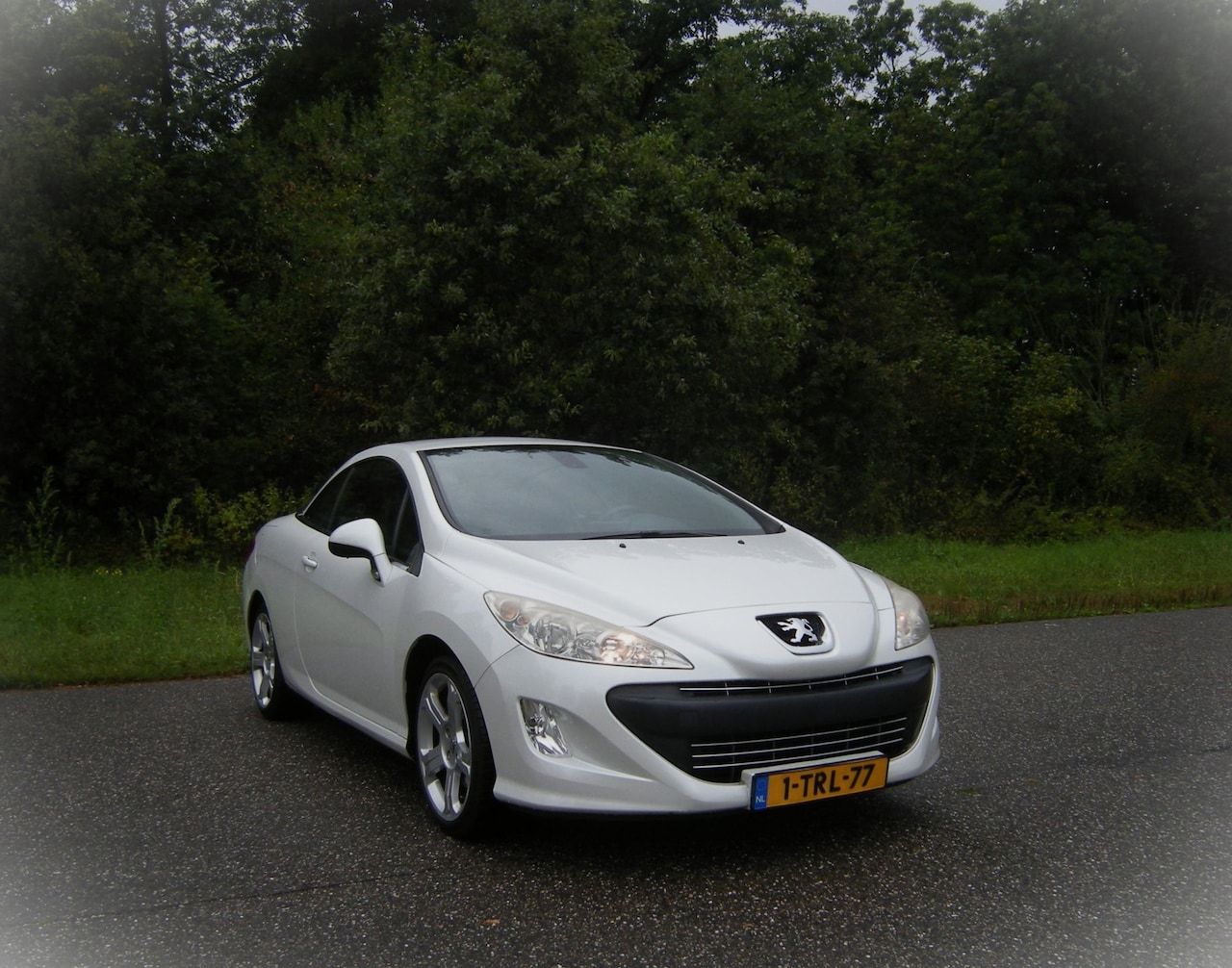 Peugeot 308 CC - 1.6 THP Black&White . Cabrio hardtop . Leder . Elec stoelen . LMV . Airco . enz - AutoWereld.nl