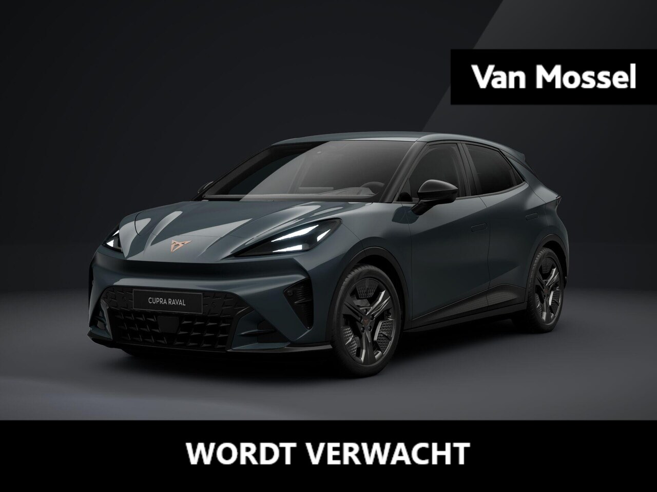 CUPRA Raval - Business 56 kWh 211 PK | Parkeersensoren achter | Sportstoelen voor | Adaptive cruise Cont - AutoWereld.nl