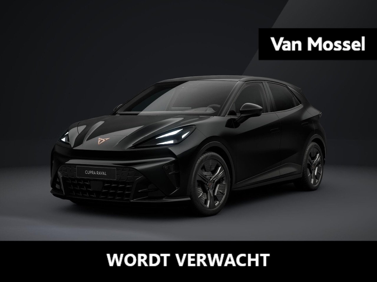 CUPRA Raval - Business 39 kWh 135 PK | Sportstoelen voor | Adaptive cruise Control | LED verlichting | K - AutoWereld.nl