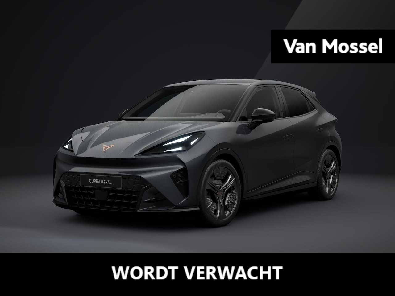CUPRA Raval - Business 39 kWh 135 PK | Sportstoelen voor | Adaptive cruise Control | LED verlichting | K - AutoWereld.nl