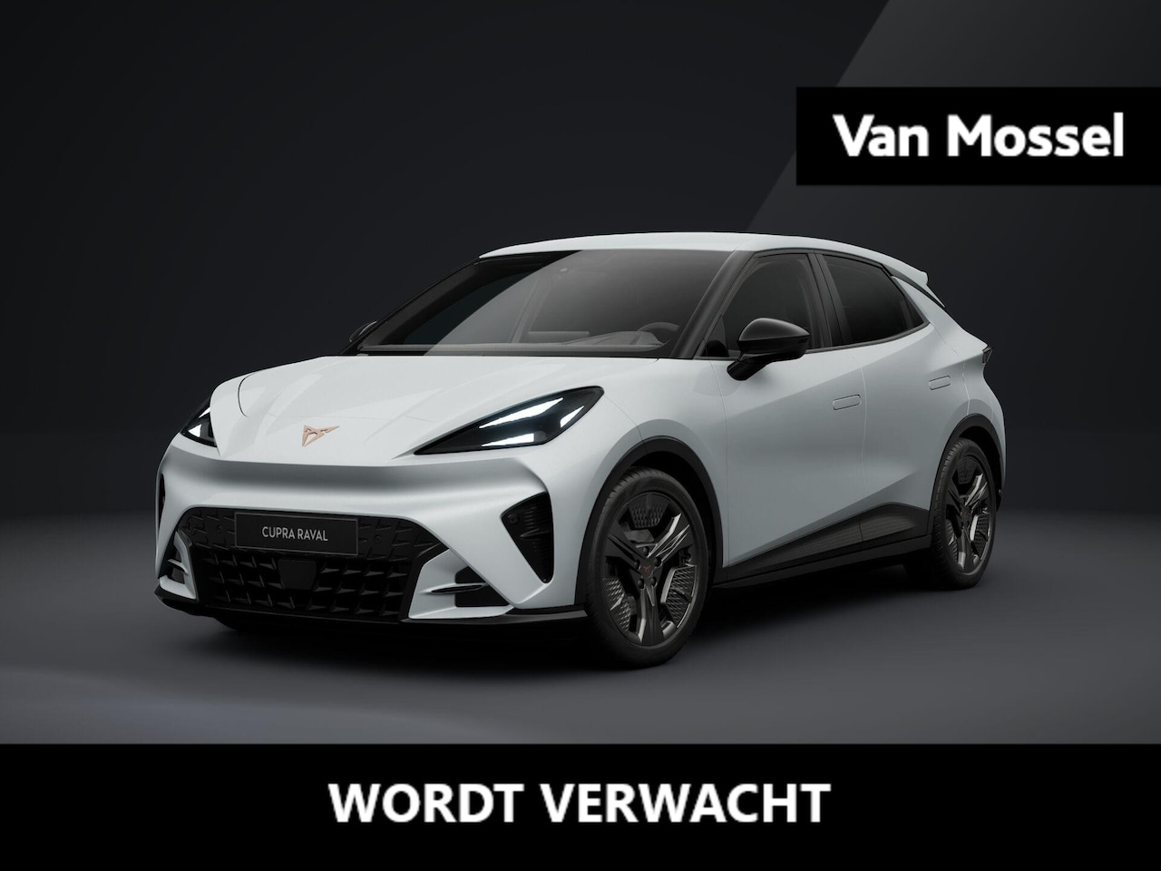 CUPRA Raval - Business 39 kWh 135 PK | Parkeersensoren achter | Sportstoelen voor | Adaptive cruise Cont - AutoWereld.nl