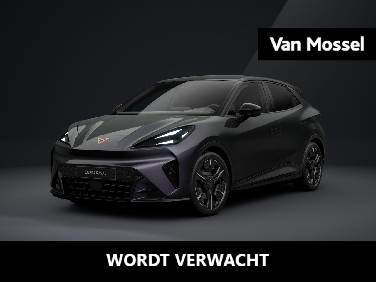 CUPRA Raval - Performance 56 kWh 211 PK | 360 graden camera | Travel Assist 3.0 | Elektrisch verstelbaar - AutoWereld.nl