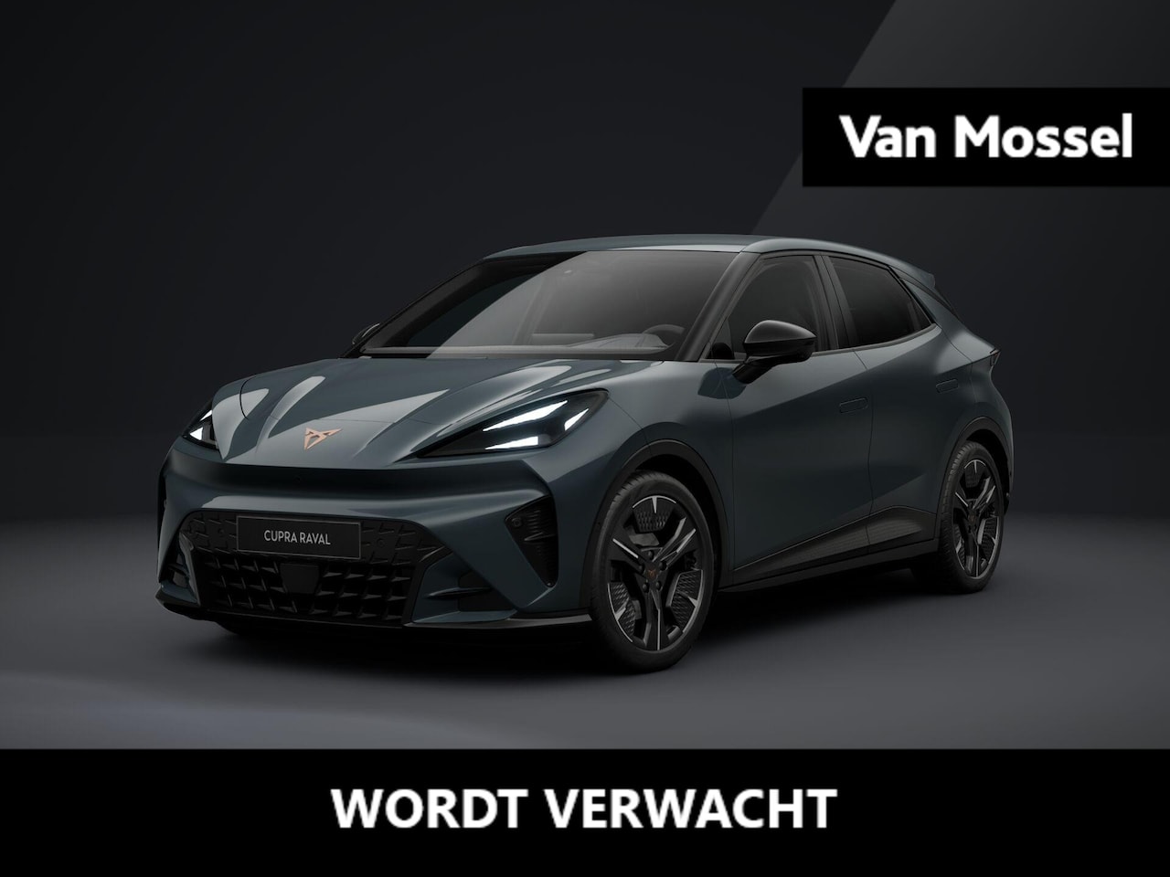 CUPRA Raval - Performance 39 kWh 135 PK | 360 graden camera | Travel Assist 3.0 | Elektrisch verstelbaar - AutoWereld.nl