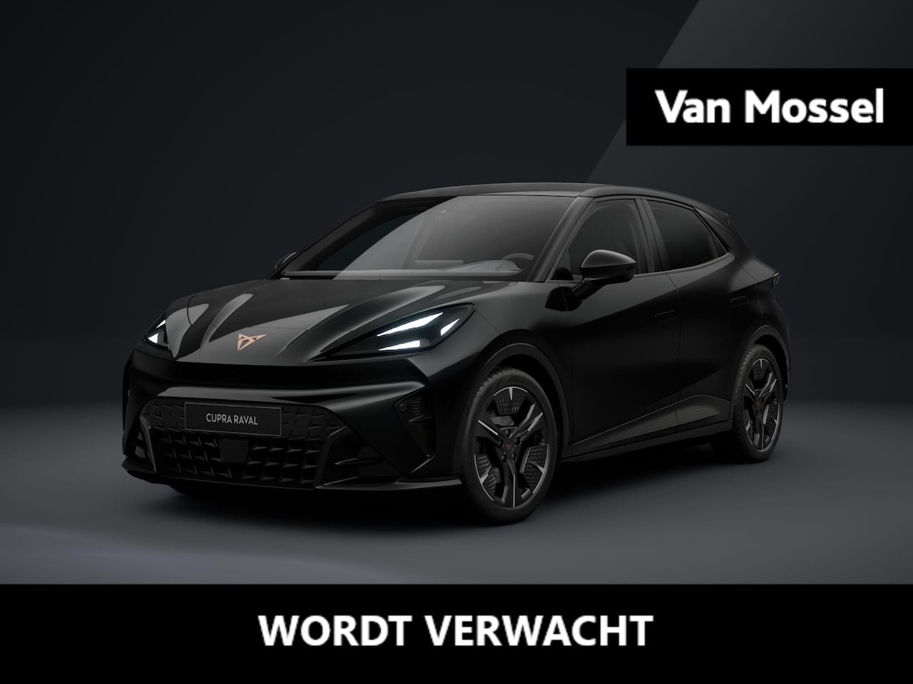 CUPRA Raval - Performance 39 kWh 135 PK | 360 graden camera | Travel Assist 3.0 | Elektrisch verstelbaar - AutoWereld.nl