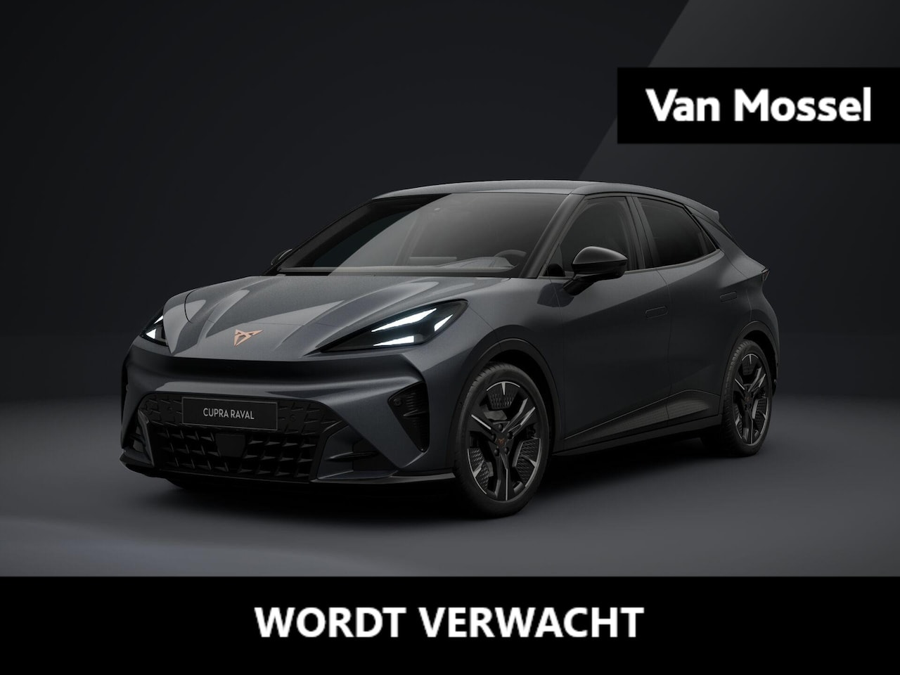 CUPRA Raval - Performance 39 kWh 135 PK | 360 graden camera | Travel Assist 3.0 | Elektrisch verstelbaar - AutoWereld.nl