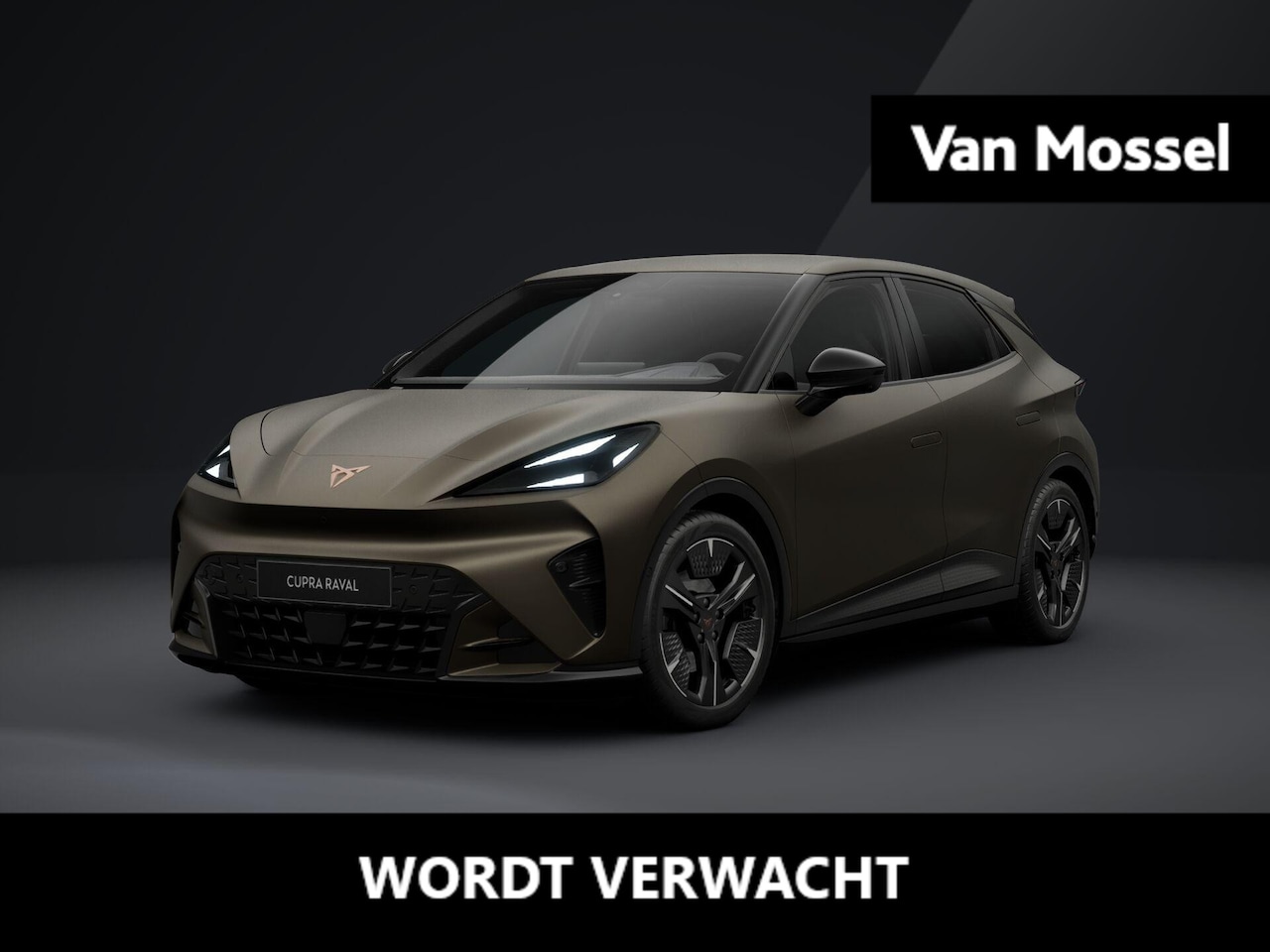 CUPRA Raval - Performance 39 kWh 135 PK | 360 graden camera | Travel Assist 3.0 | Elektrisch verstelbaar - AutoWereld.nl