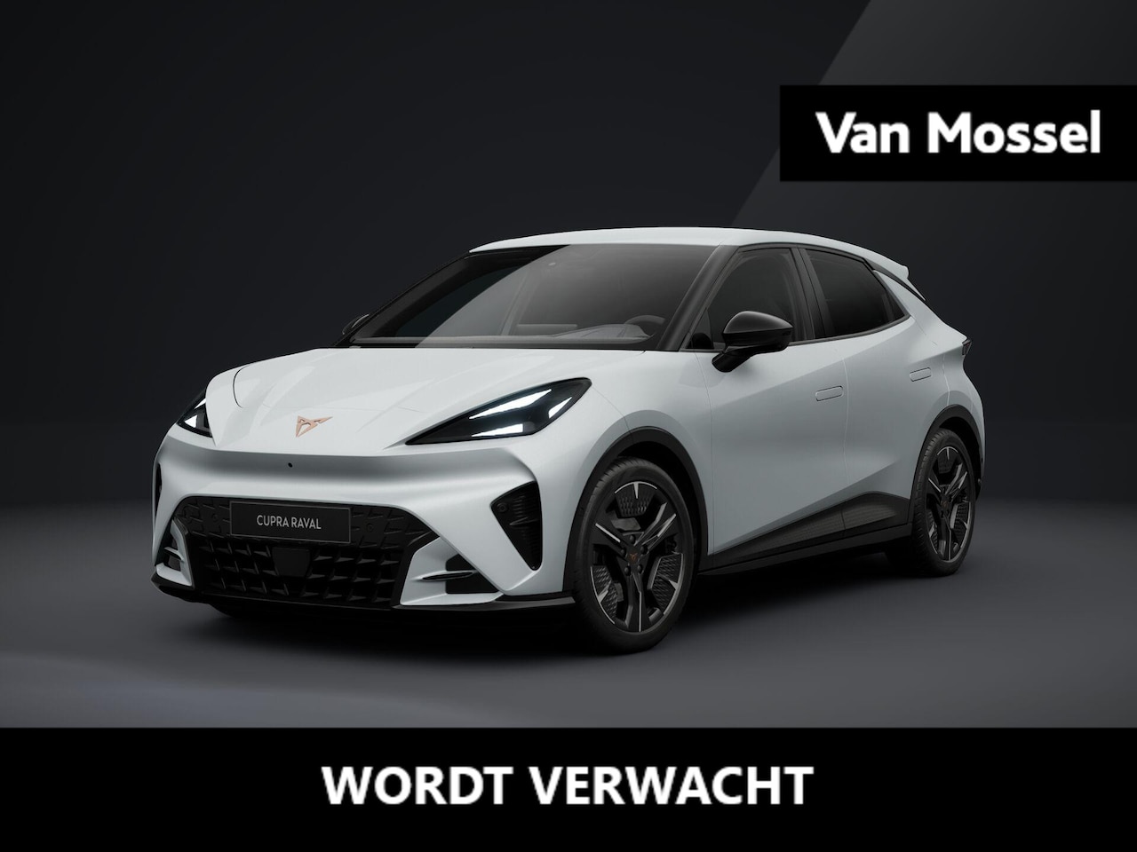 CUPRA Raval - Performance 39 kWh 135 PK | 360 graden camera | Travel Assist 3.0 | Elektrisch verstelbaar - AutoWereld.nl