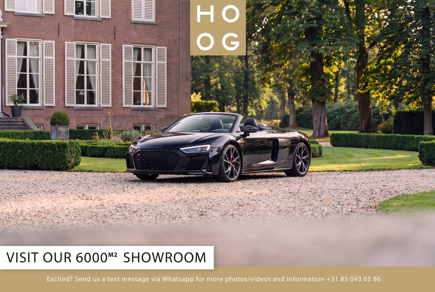 Audi R8 Spyder - V10 Performance - AutoWereld.nl