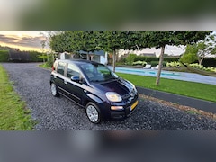 Fiat Panda - 1.2 Edizione Cool