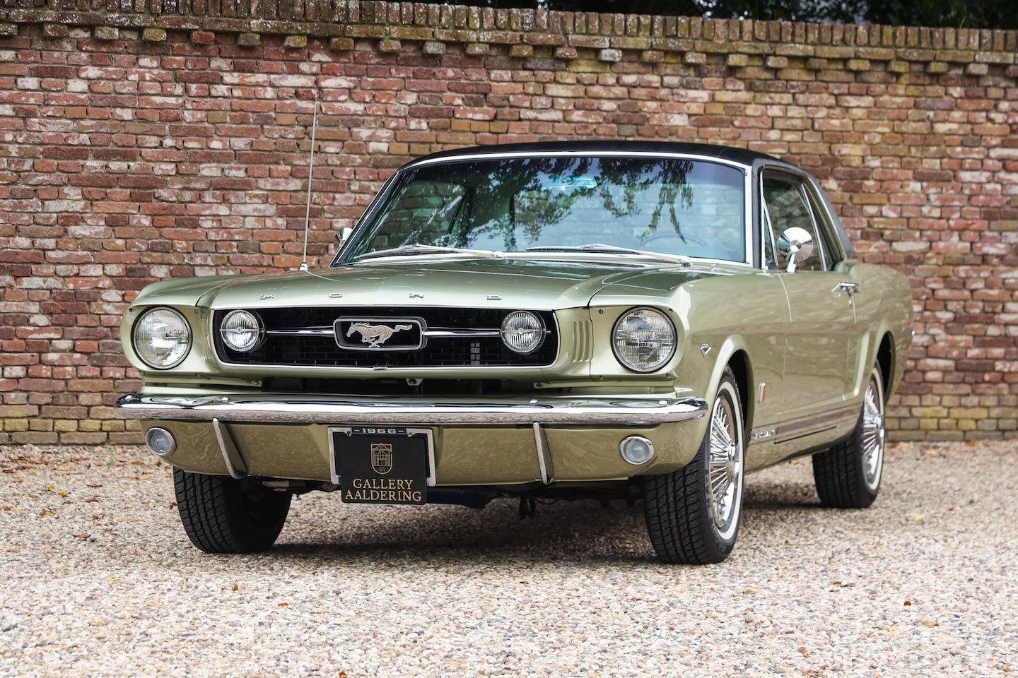 Ford Mustang - GT A-Code "The Dutch most award-winning Mustang" The instructions were clear: Restore my M - AutoWereld.nl