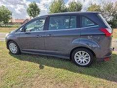 Ford Grand C-Max - 1.6 Titanium 7p. NAP!