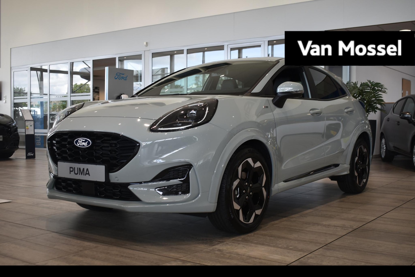 Ford Puma - 1.0 EcoBoost Hybrid ST-Line X | Showroom Voorraad | 5000.- Korting | Cactus Grey | Winterp - AutoWereld.nl