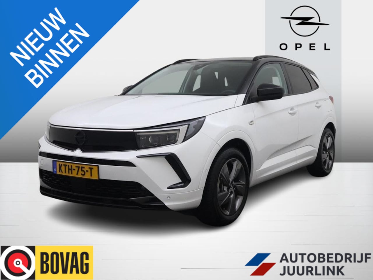 Opel Grandland - 1.6 Turbo Plug-In Hybrid 4x4 GSe 300pk 360.Camera/ Winterpakket/4S.Banden/ - AutoWereld.nl