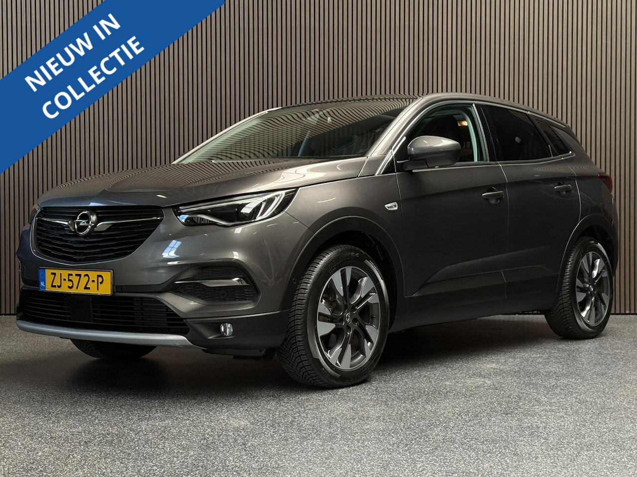Opel Grandland X - 1.2 Turbo Business Executive | Automaat | Alle opties | NL Auto - AutoWereld.nl