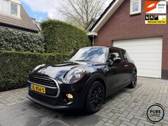 MINI One - 1.5 Black Edition | Bj.2019 | Navi | Automaat