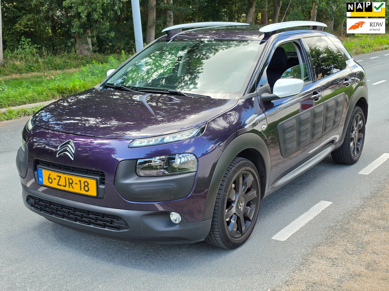 Citroën C4 Cactus - 1.2 PureTech Shine / AIRCO / NAP / PANOGLAS - AutoWereld.nl