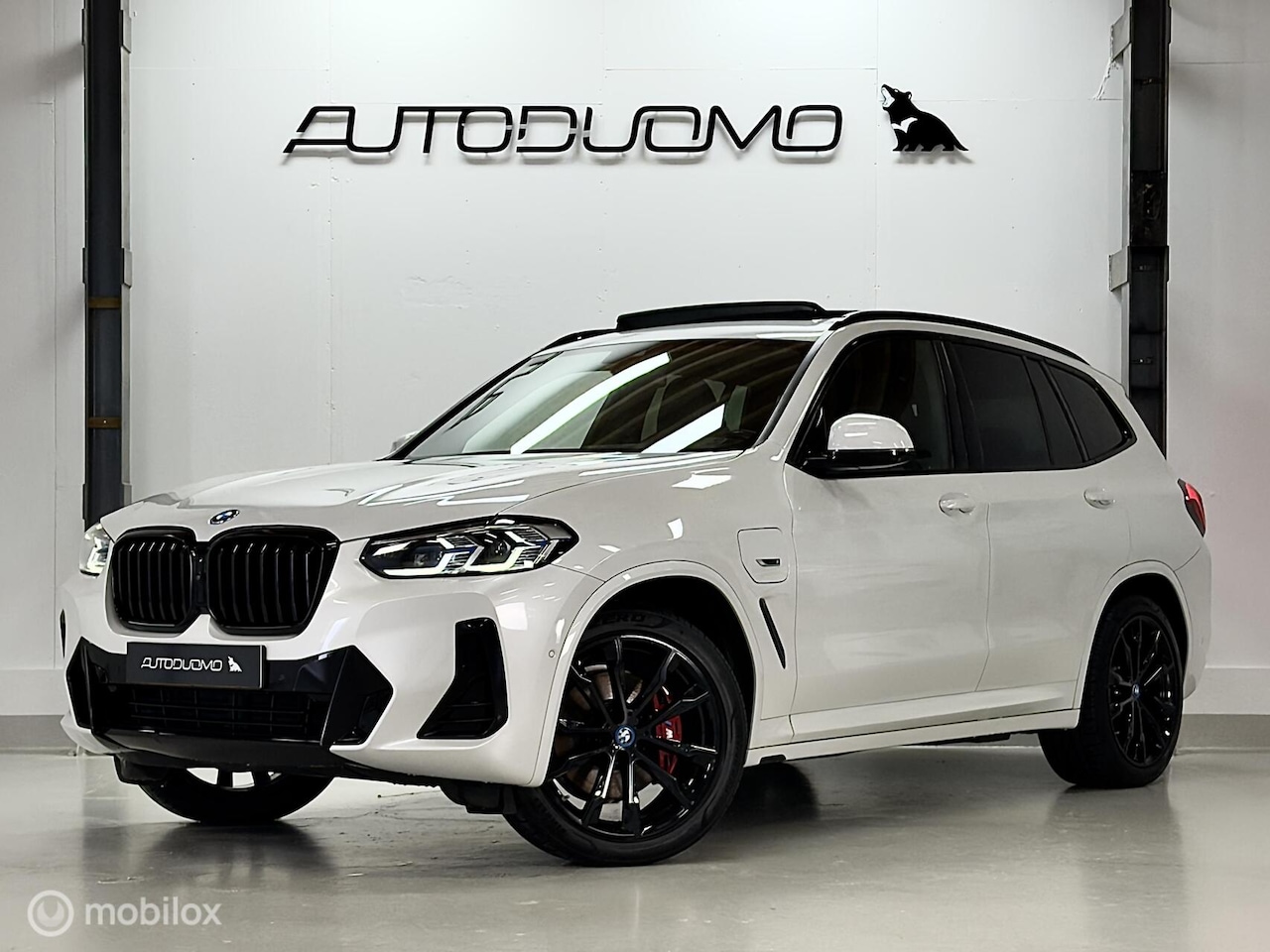 BMW X3 - xDrive30e High Executive M Sport | Pano | Laser | HUD | 360 Cam | Stuurverw. | 20" M Velge - AutoWereld.nl