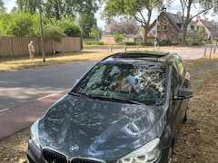 BMW 2-serie Active Tourer - 220i High Executive M-sport /full option /apk 10-2027