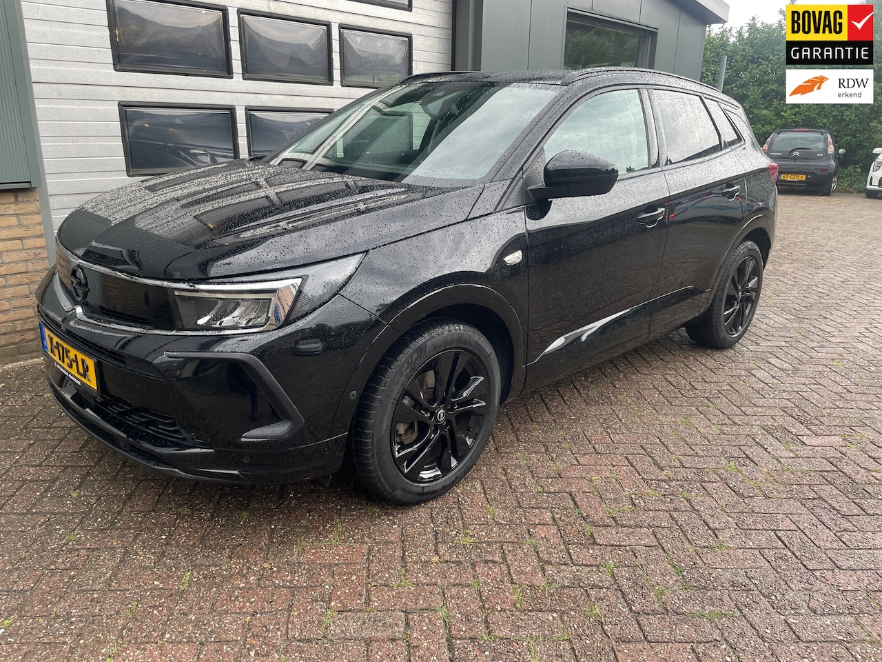 Opel Grandland - 1.2 Turbo Business Elegance Automaat - AutoWereld.nl