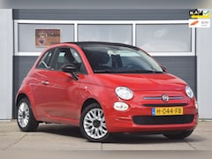 Fiat 500 C - 1.2 Young 500c cabrio NL auto Nieuwe distributieriem