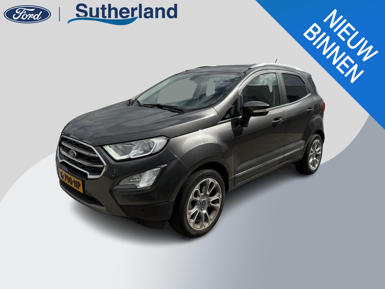 Ford EcoSport - 1.0 EcoBoost Titanium 125pk | Winterpack | BLIS | SYNC 3 Navigatie | Trekhaak | Apple carp - AutoWereld.nl