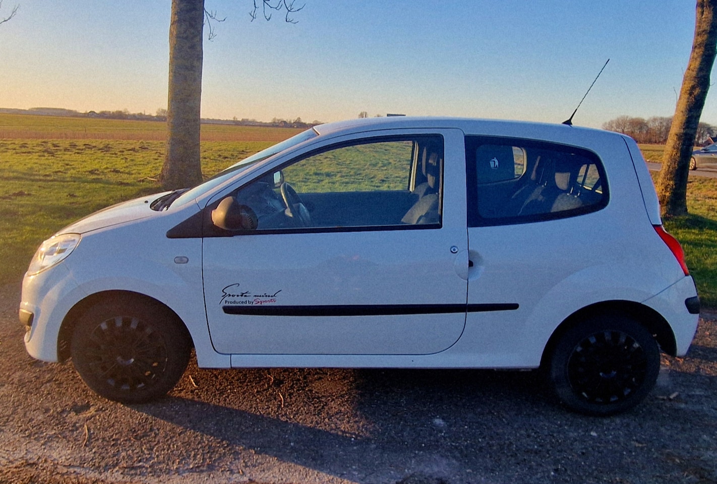 Renault Twingo - 1.2 Acces - AutoWereld.nl