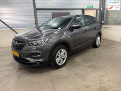Opel Grandland X - 1.2 Turbo Business Edition 2e eigenaar riem vervangen