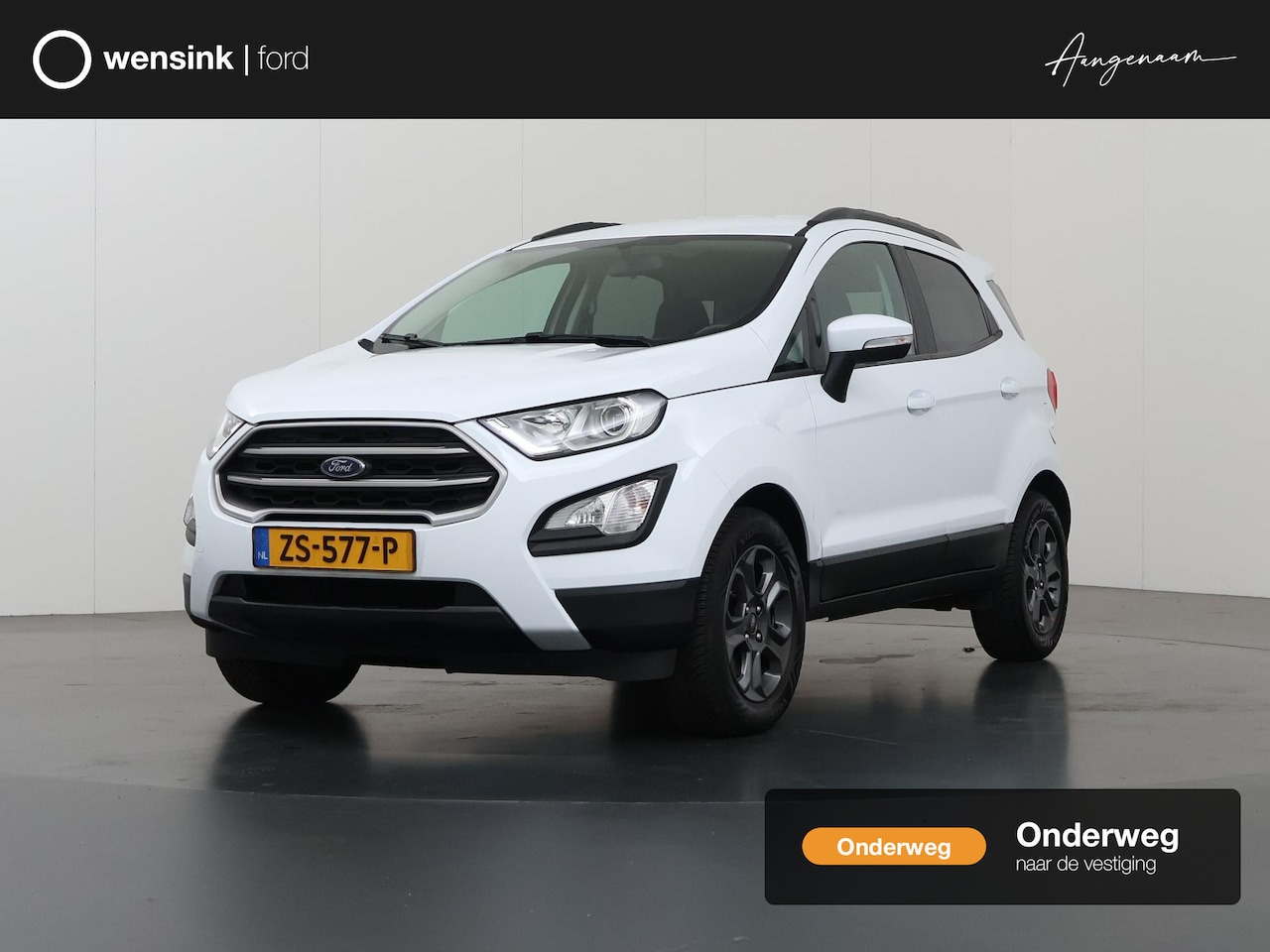 Ford EcoSport - 1.0 EcoBoost Trend Ultimate | Trekhaak | Navigatie | Airco | Parkeersensoren | - AutoWereld.nl