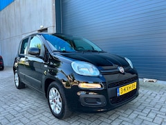 Fiat Panda - 0.9 TwinAir Edizione Cool AIRCO NAP 2013