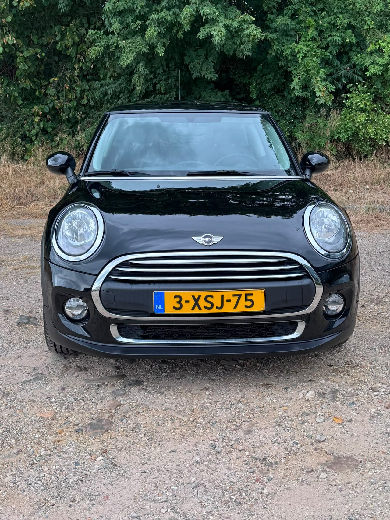 MINI 3-Deurs - 1.2 One Salt Business One