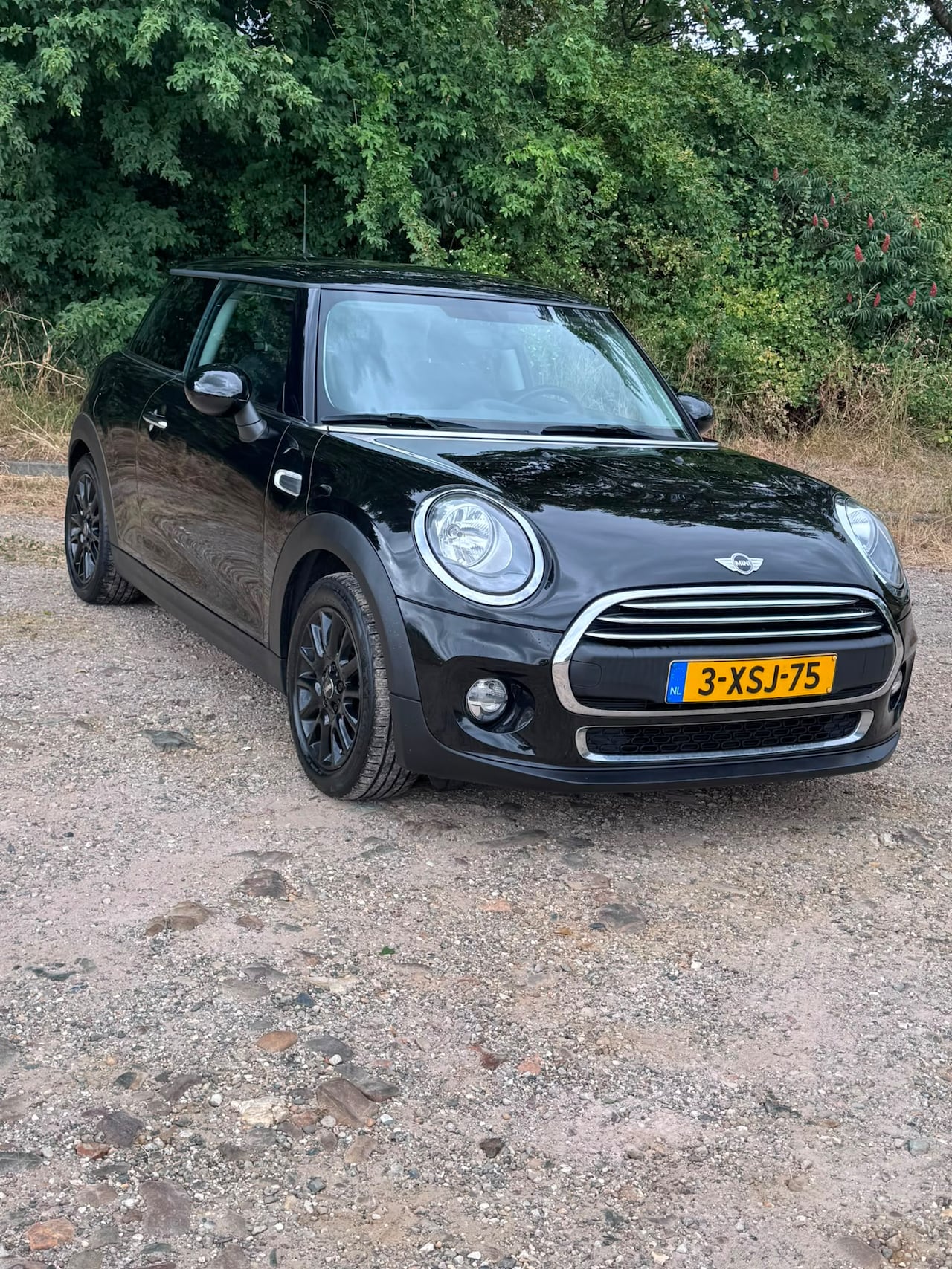 MINI 3-Deurs - 1.2 One Salt Business One