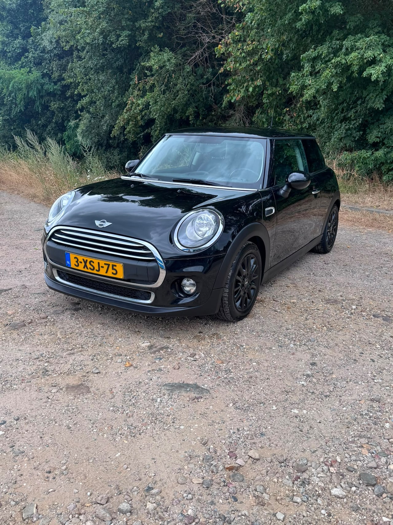 MINI 3-Deurs - 1.2 One Salt Business One